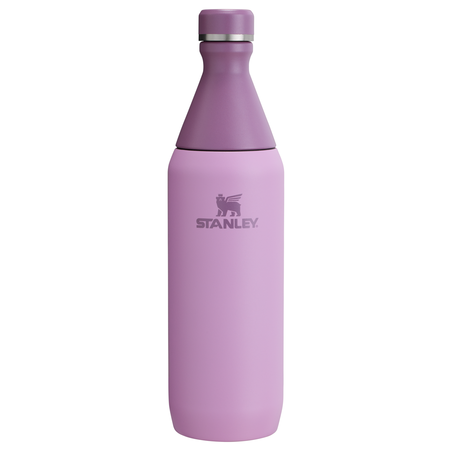 Stanley All Day Slim Bottle | 20 OZ