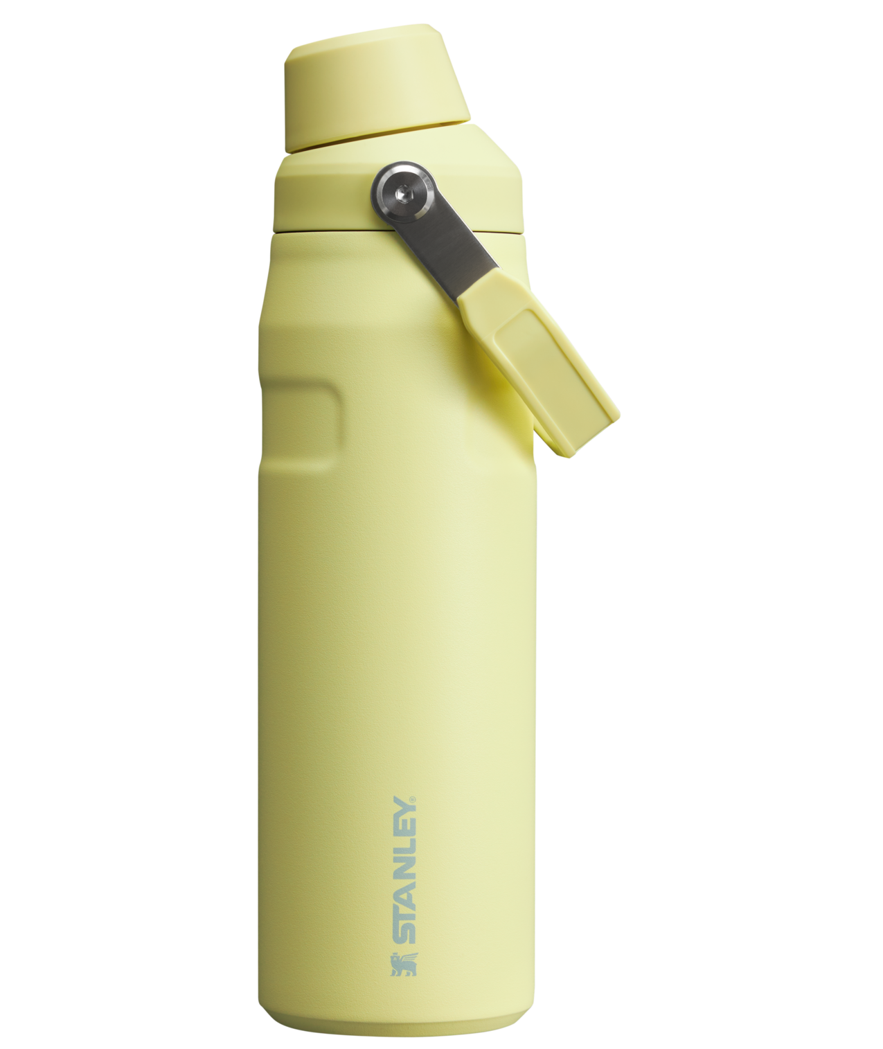 Stanley IceFlow™ Bottle with Fast Flow Lid | 24 OZ