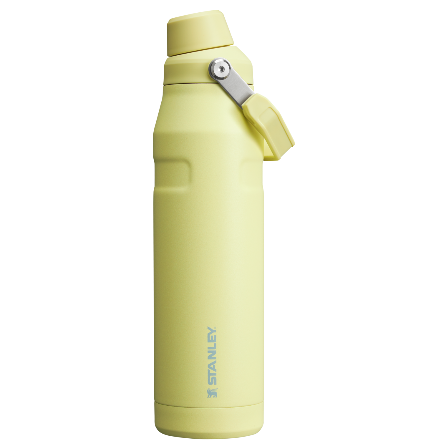 Stanley IceFlow™ Bottle with Fast Flow Lid | 36 OZ