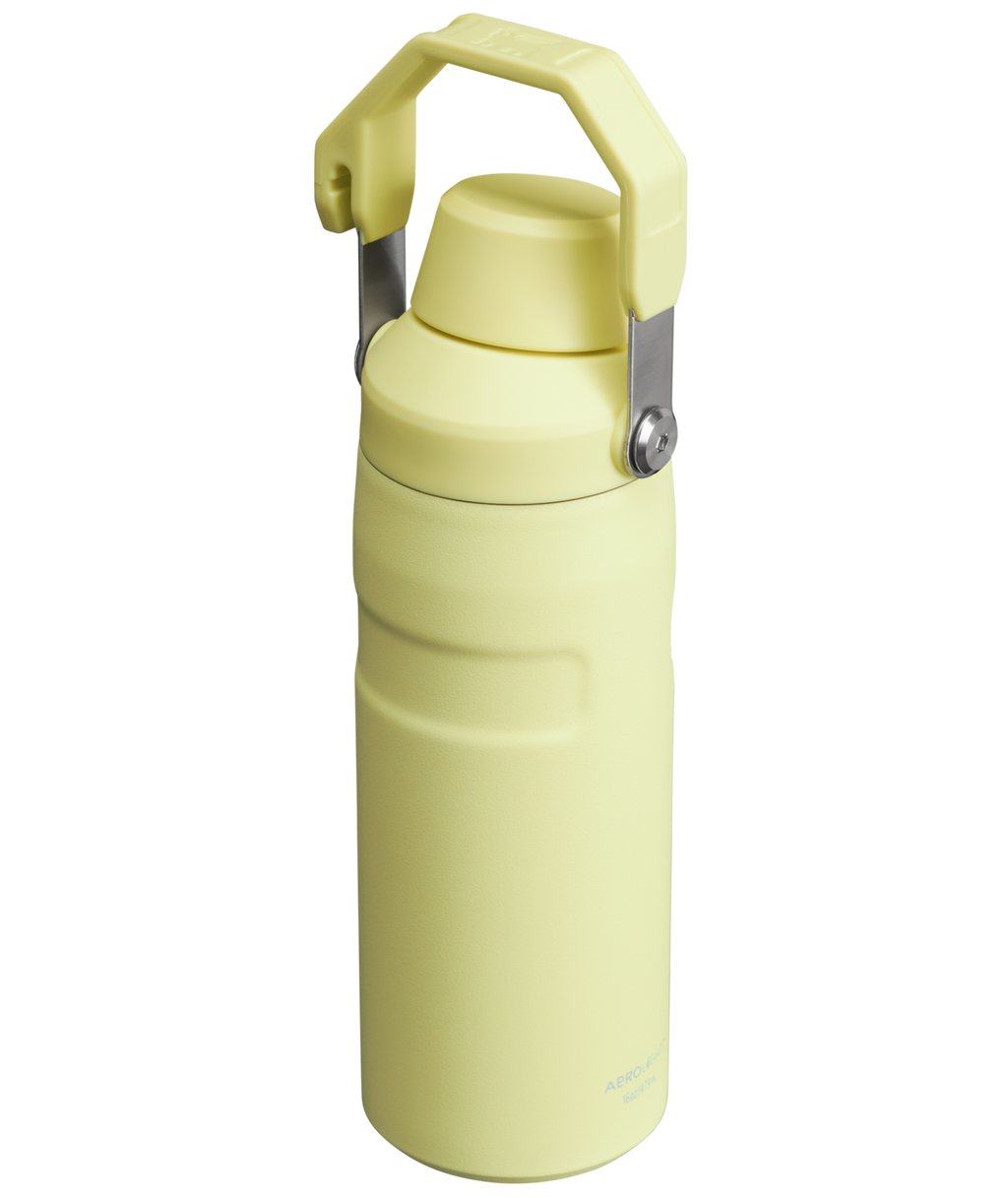Stanley IceFlow™ Bottle with Fast Flow Lid | 16 OZ